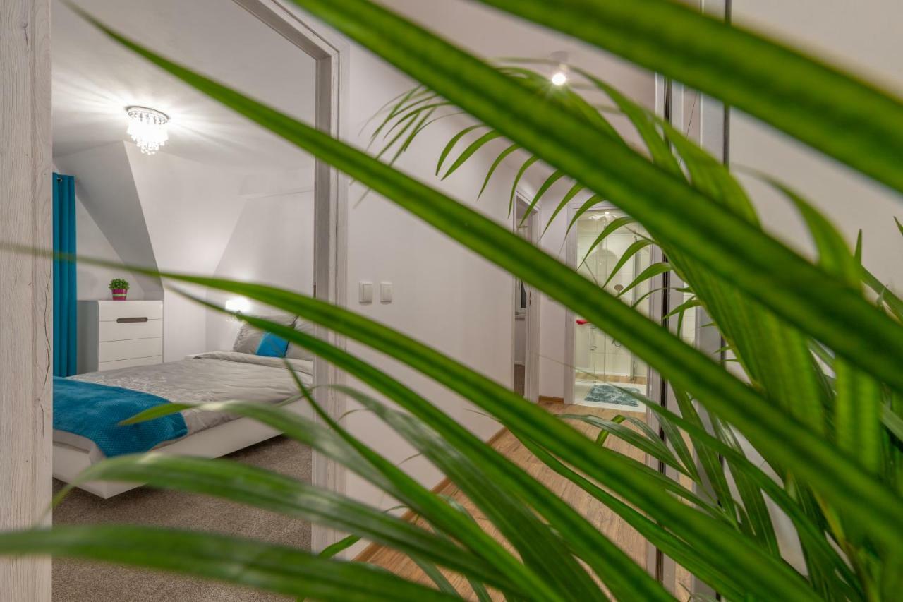 Apartament Podwika Zakopane Eksteriør billede
